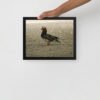 Framed poster - Image 5