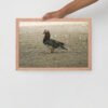 Framed poster - Image 17