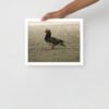 Framed poster - Image 26